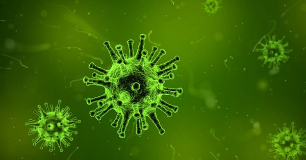 Coronavirus: ¿reacción y represalia de Gaia?