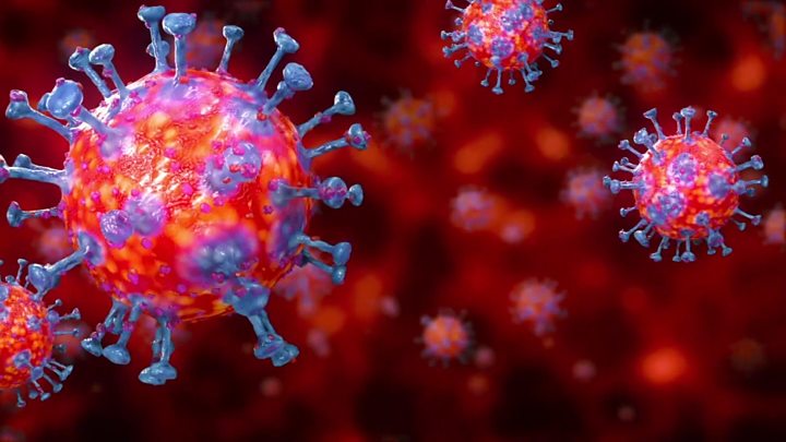 El coronavirus  despierta en nosotros lo humano