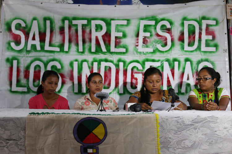 Solidaridad con la lucha de los pueblos originarios