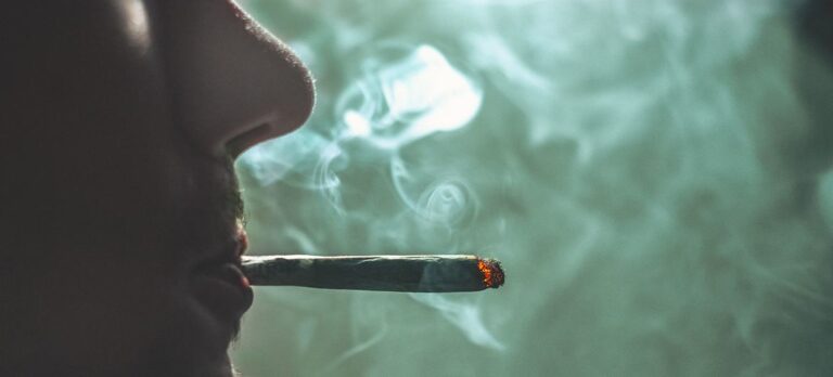 Ministerio de Salud sin recursos para atender legalización de cannabis