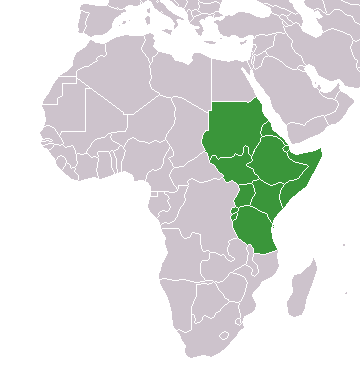 Los líderes del este de África comienzan en Burundi una cumbre clave para el futuro del este de RDC