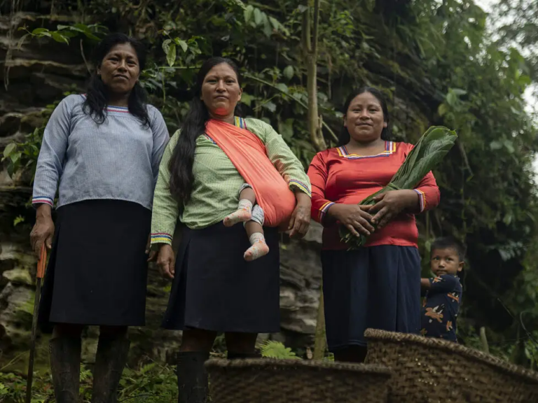 La FAO reconoce a chakras de Ecuador como patrimonio mundial
