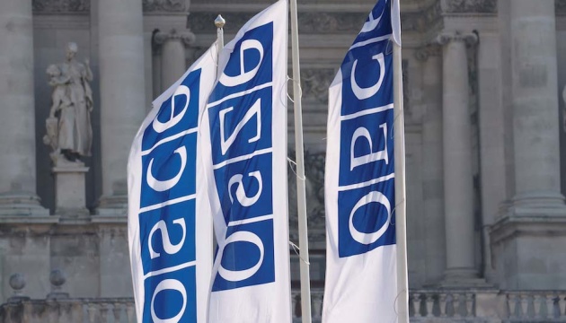 Diputados ucranianos boicotean una reunión de la OSCE en Viena por admitir a una delegación rusa