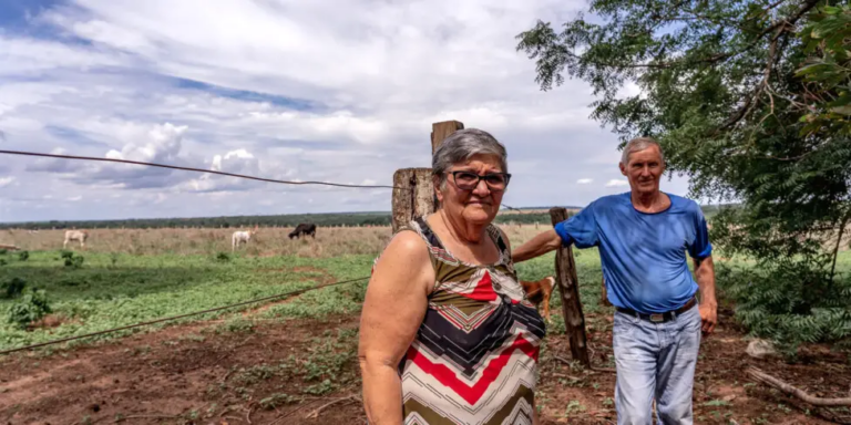 Cómo la soja se apoderó de los asentamientos familiares en la Amazonia