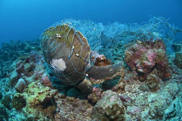 Iniciativa de ley busca controlar las redes fantasma en los océanos