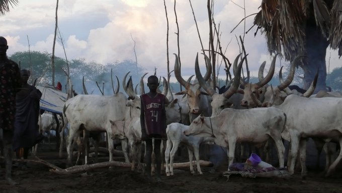 Al menos 20 muertos tras un ataque ejecutado por supuestos pastores en el sur de Sudán del Sur