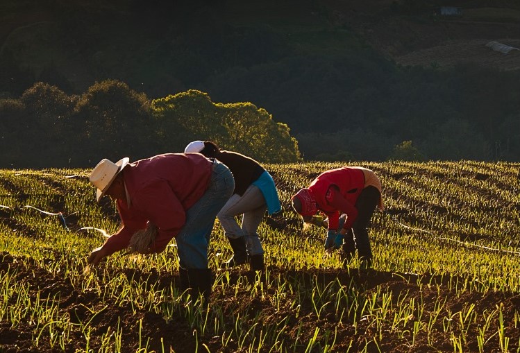 La destrucción de los pequeños agricultores en Costa Rica (7 breves datos para la ciudadanía)