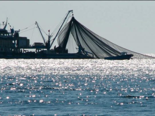 Unión Europea mantiene tarjeta amarilla para Panamá por pesca ilegal