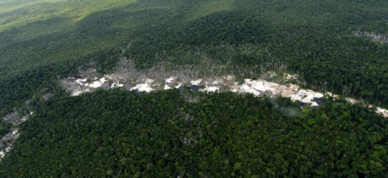 El alto precio por defender la Amazonia colombiana