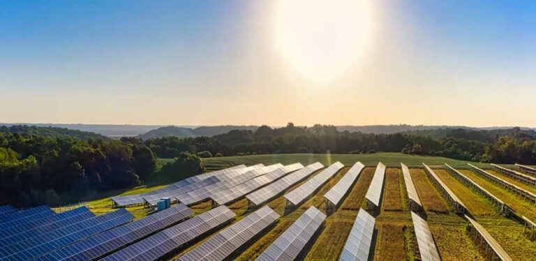 ICE adjudica primeros 86 megavatios de generación solar a cinco proyectos