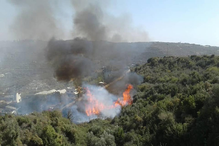 Incendios en Siria afectan zonas forestales y tierras agrícolas