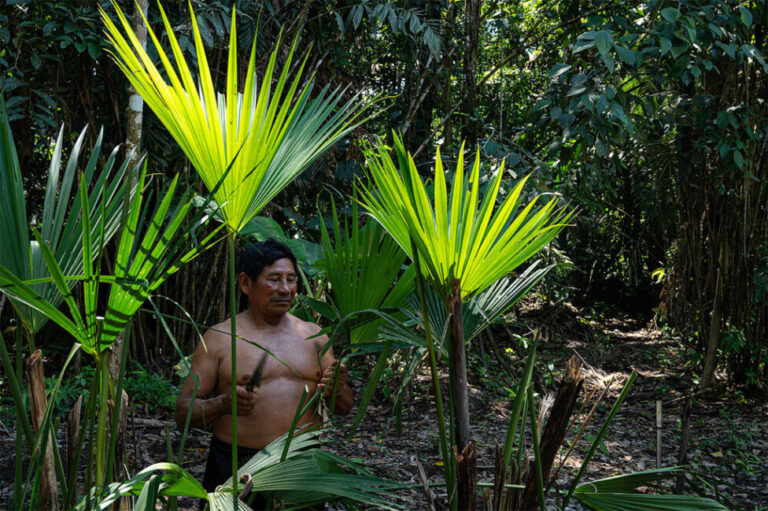 Referéndum sobre Yasuní polariza a comunidades de Amazonia ecuatoriana