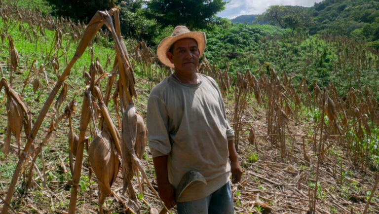 Impactos de El Niño más intensos en las familias campesinas de América Central