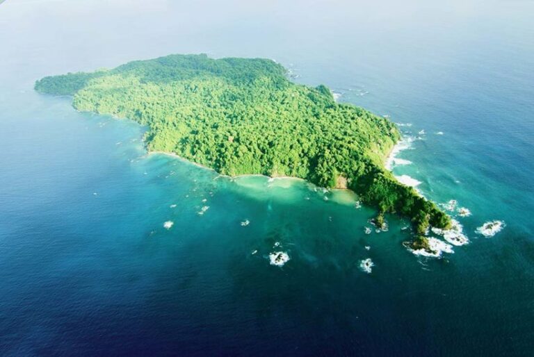 Altas temperaturas blanquean los corales de Isla del Caño en Costa Rica