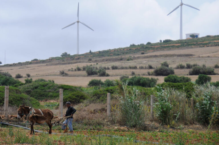 Hay vacío de políticas de energía renovable en los países del Sur