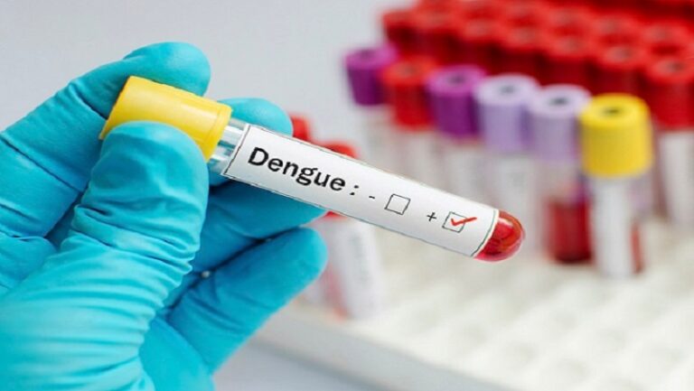 Cuatro serotipos de dengue circulan en Costa Rica
