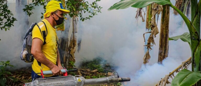 El dengue avanza como amenaza mundial a la salud pública