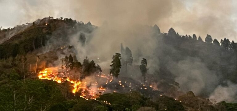 Más de 12 mil hectáreas afectadas en Costa Rica por incendios