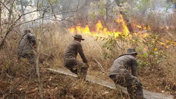 Bomberos controlan gran incendio en occidente de Costa Rica