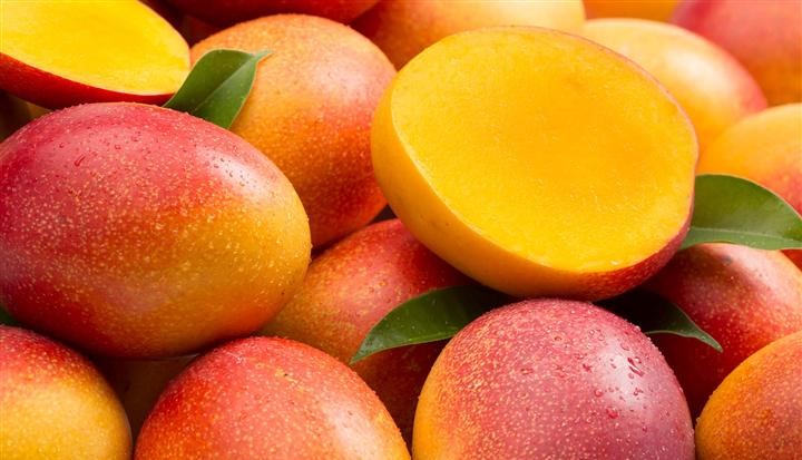 Guatemala prevé exportaciones sobre 35 millones de libras de mango