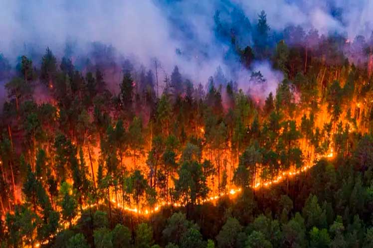 Registra Costa Rica 100 incendios forestales en 2024