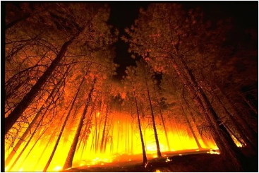 El fuego se adueña de los bosques tropicales húmedos de África